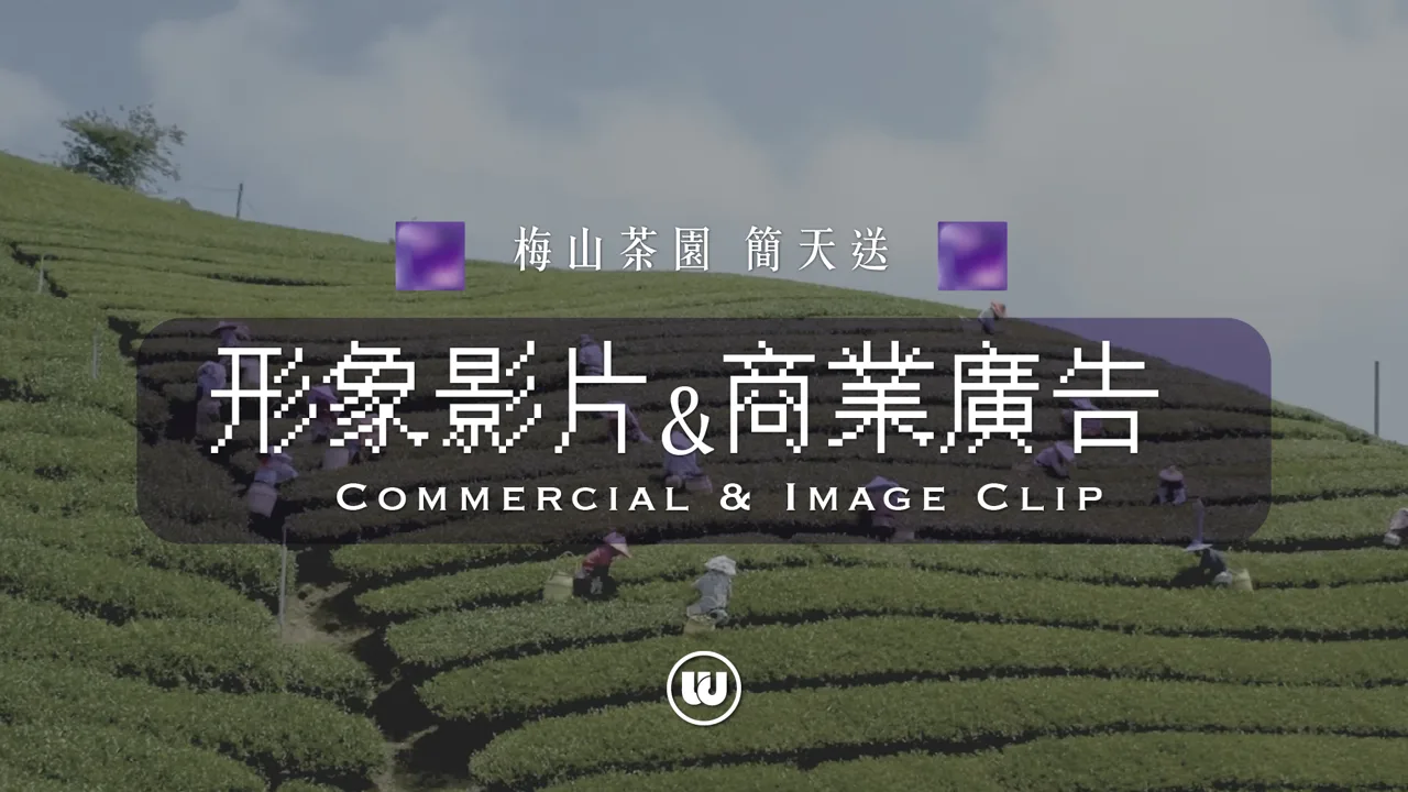 WEDO 梅山茶園簡天送茶葉商業影片原站封面