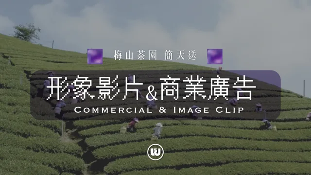 Tea fields and tea making in Meishan
